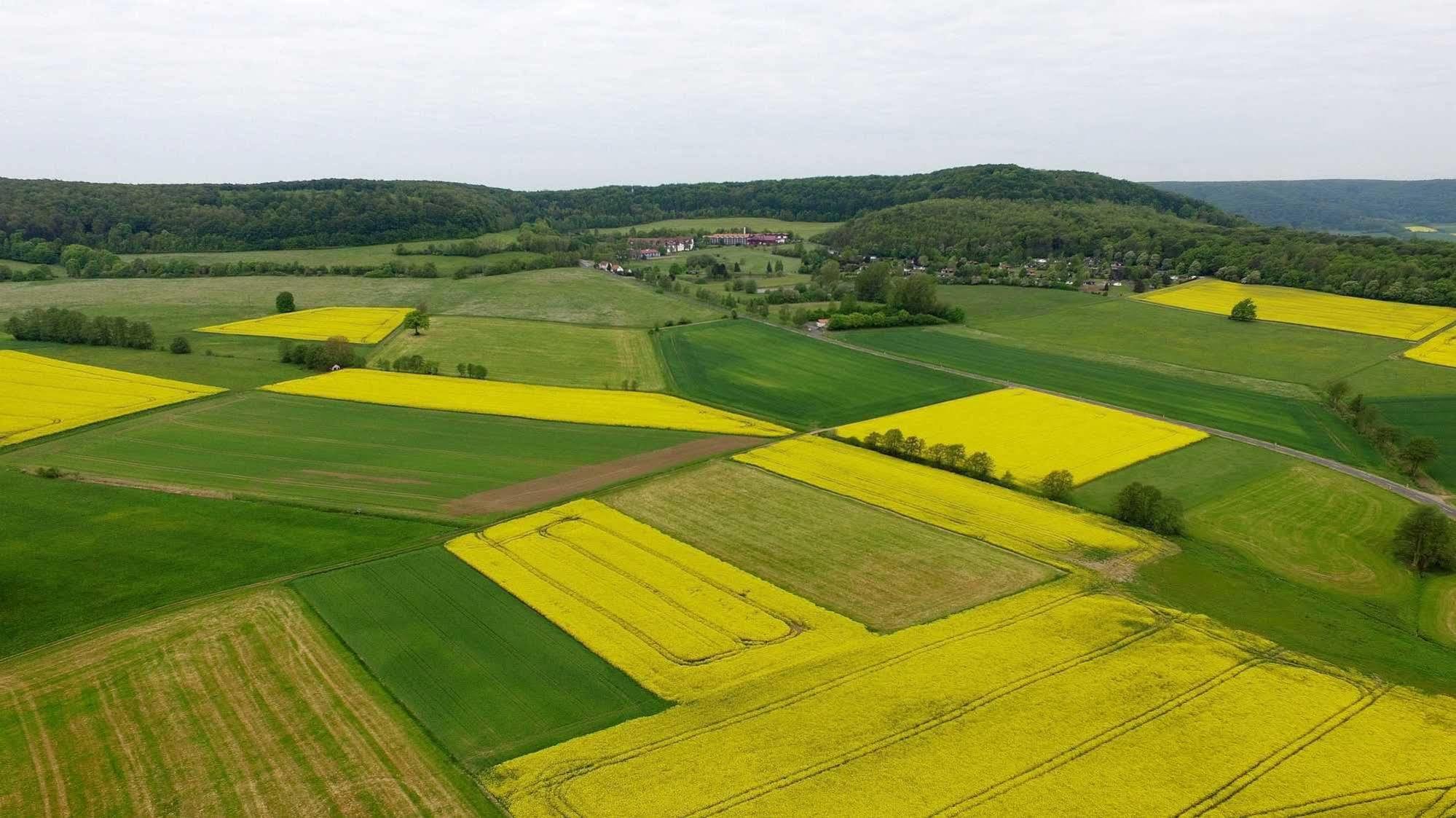 Hessen Hotelpark Hohenroda Hohenroda  외부 사진